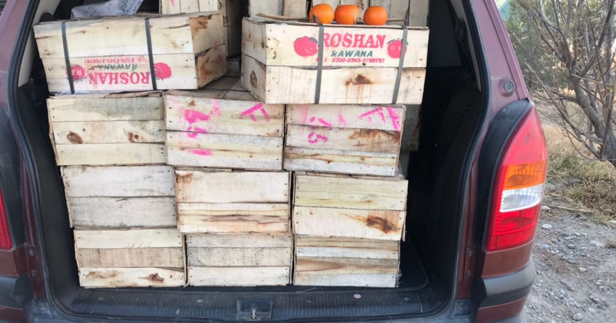 На границе КР задержаны незаконные партии мандаринов и винограда из Таджикистана