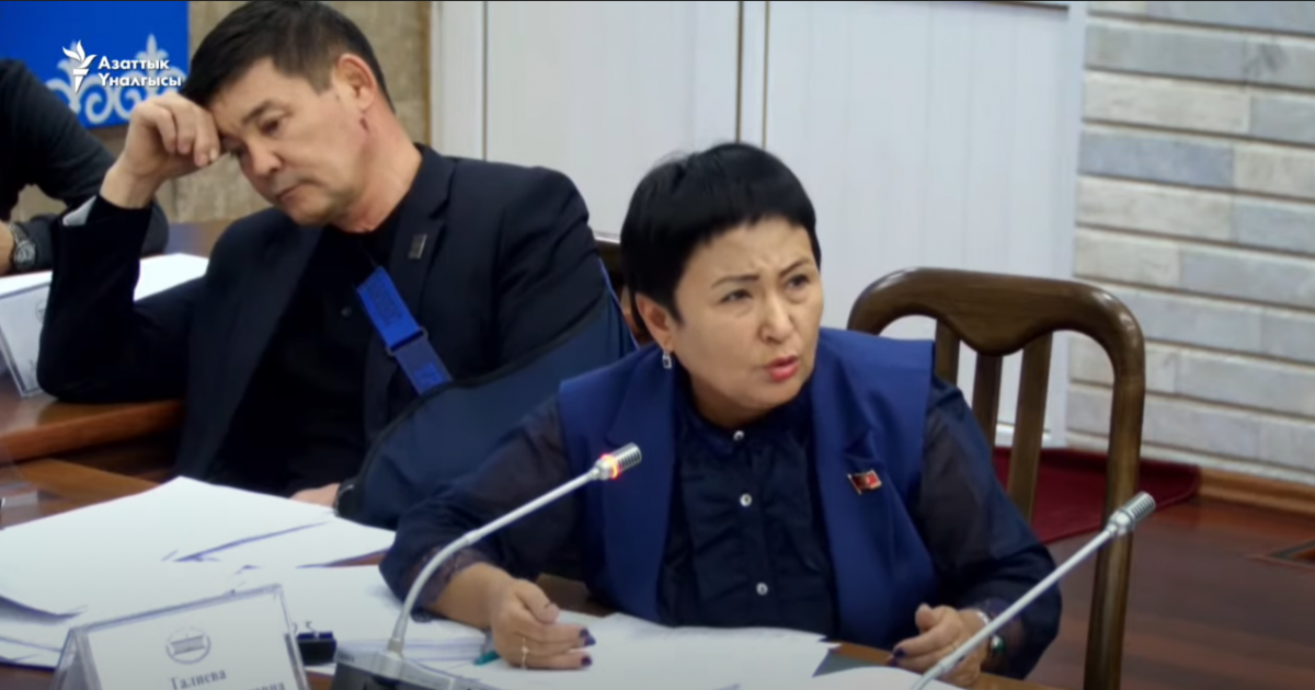 Депутат Талиева: Жогорку Кеңеште элементардуу нерселерибиз жок  