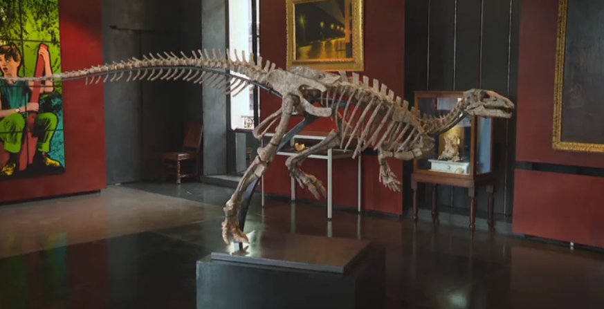 Парижде 150 млн жылдык динозаврдын скелети аукционго коюлду
