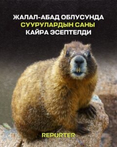  — Новости Кыргызстана
