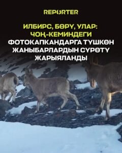 — Новости Кыргызстана