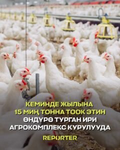  — Новости Кыргызстана