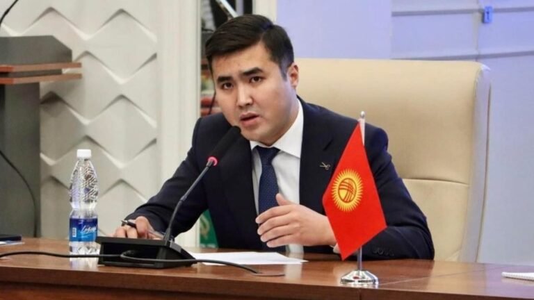 Кыргызстандын Стамбул шаарындагы башкы консулу дайындалды