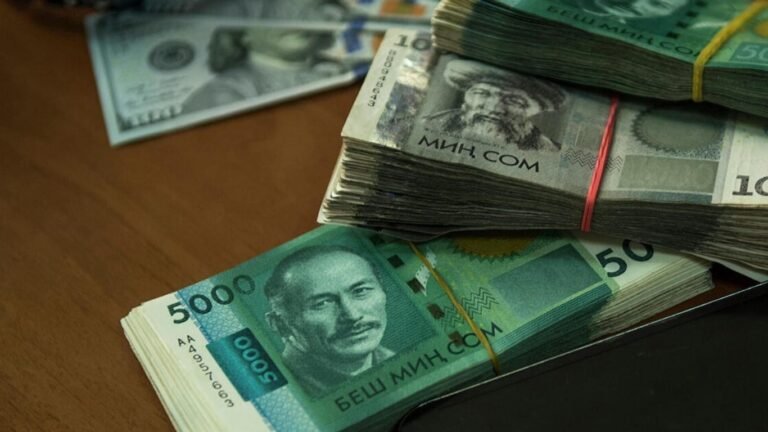 Быйыл Кыргызстанда орточо айлык акы 19,6%га өстү