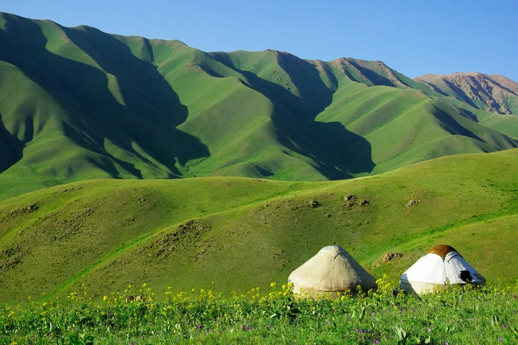 Пастбище в Кыргызстане