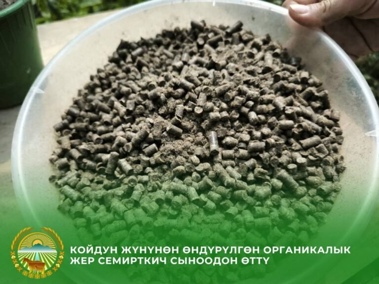 Кыргызстанда койдун жүнүнөн жасалган органикалык жер семирткич сыноодон өттү