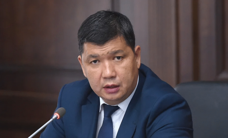 Царикаевдин сабалышы: Күнөөлүүлөр сөзсүз жазасын алышы керек – мэр