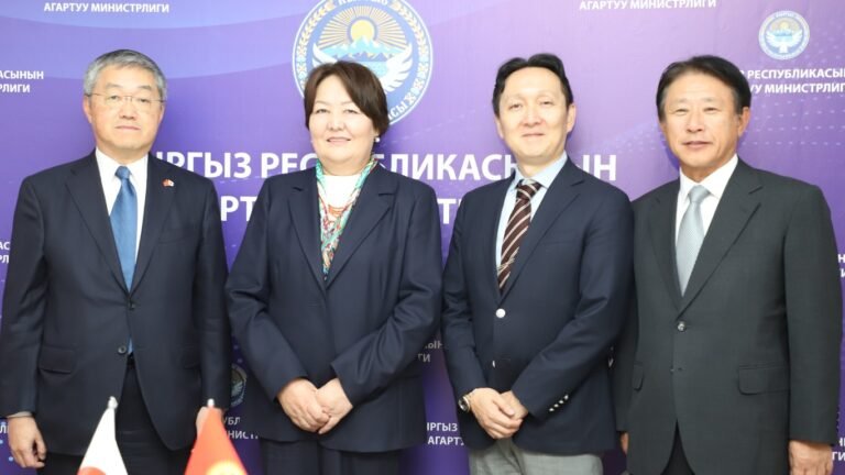Жапониялык ишкана Кыргызстандагы мектепте өзүнүн STEM долбоорун сынайт