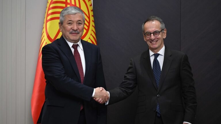 Өкмөт башчы менен ЕРӨБдүн вице-президенти энергетика, инфраструктура боюнча долбоорлорду ишке ашырууну талкуулашты