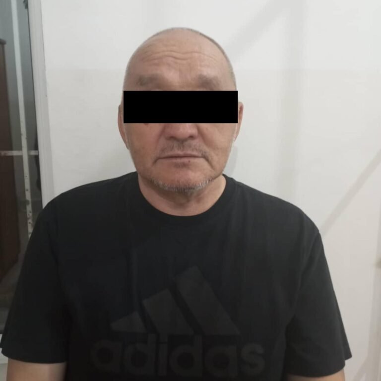 Башка бирөөнүн жерин саткан. Чүй милициясы алдамчылыкка шектүүнү кармады