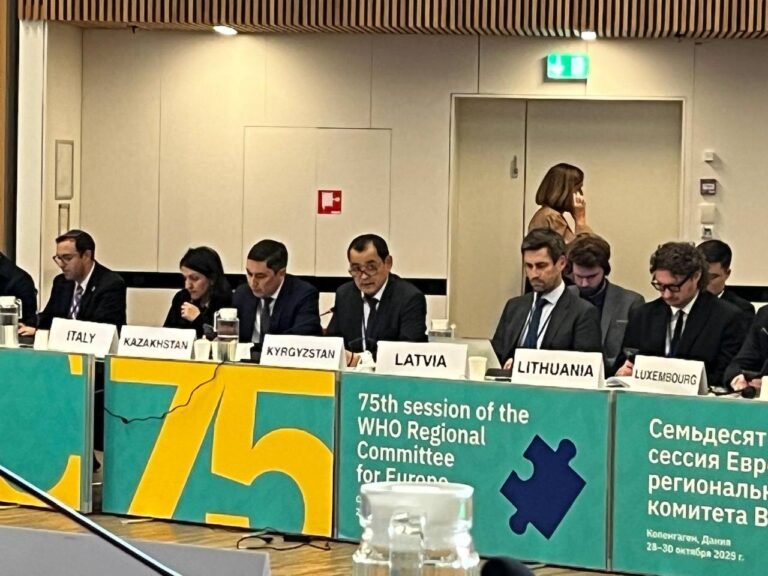 Кыргызстан кант диабетин жана гипертонияны алдын алуу боюнча өз тажрыйбасын ДССУнун сессиясында сунуштады