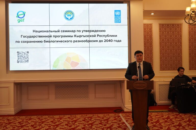 «2040-жылга чейин: Кыргызстанда табиятты коргоонун негизги планы сунушталды»