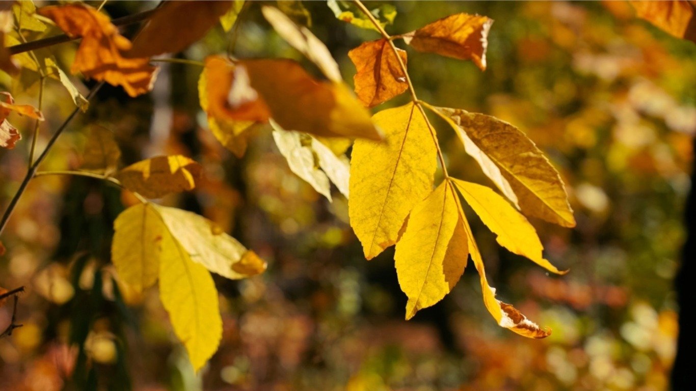Сегодня, 16 ноября, будет ясная погода
