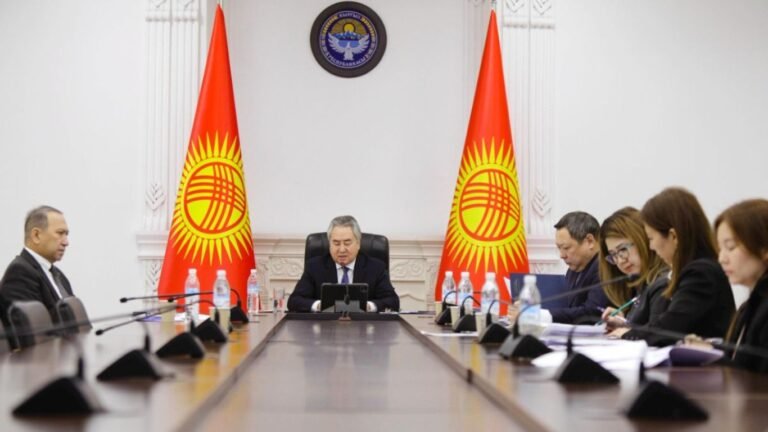 ТИМ башчысы Экономикалык кызматташтык уюмунун жыйына катышты