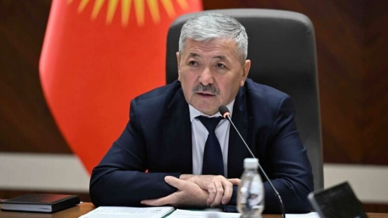 Өкмөт башчы Москвага иш сапары менен барат