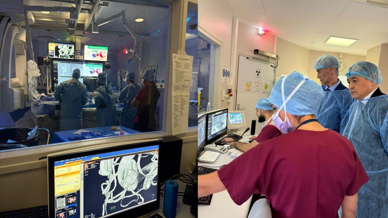 Кыргызстан и Франция наладят сотрудничество в области нейрореабилитации