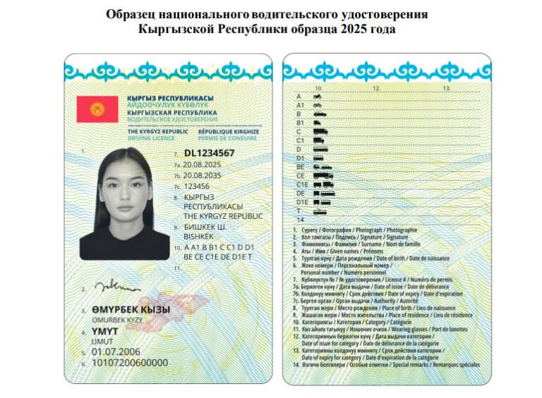 Кыргызстанда жаңы үлгүдөгү айдоочулук күбөлүктөр бекитилди