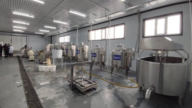 Нарында сүттү кайра иштетүүчү жаңы цех ишке кирди