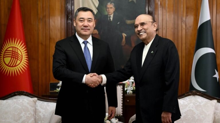 Исламабадда Садыр Жапаров менен Пакистандын президенти жолугушту
