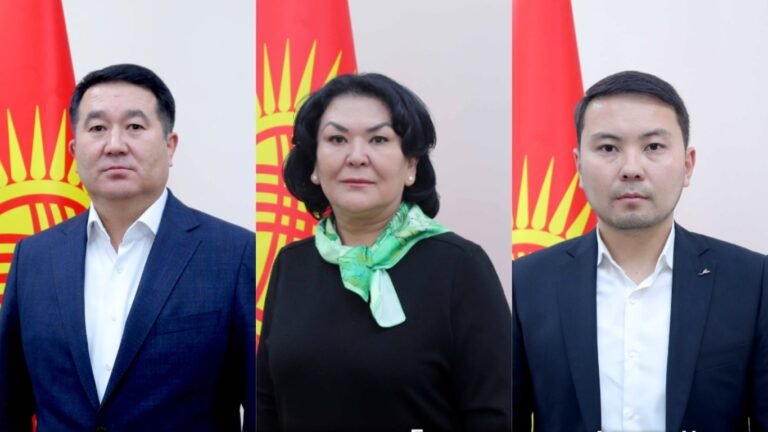 БШК №29 округ боюнча шайлоонун жыйынтыгын бекитти