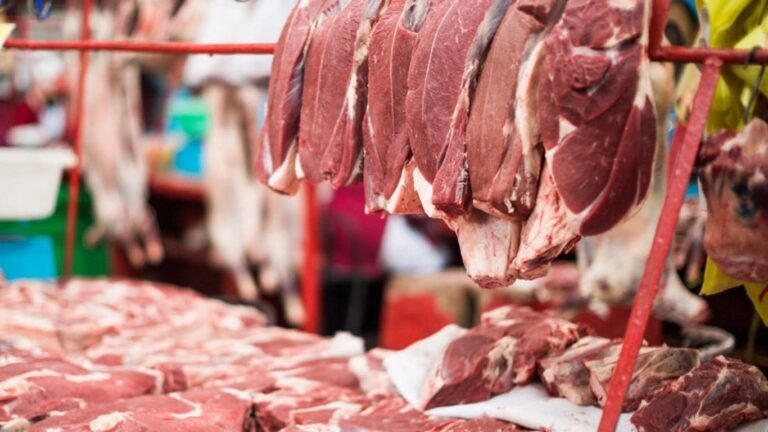 Пакистандан келе жаткан 21 тонна уй эти өлкөгө киргизилген жок