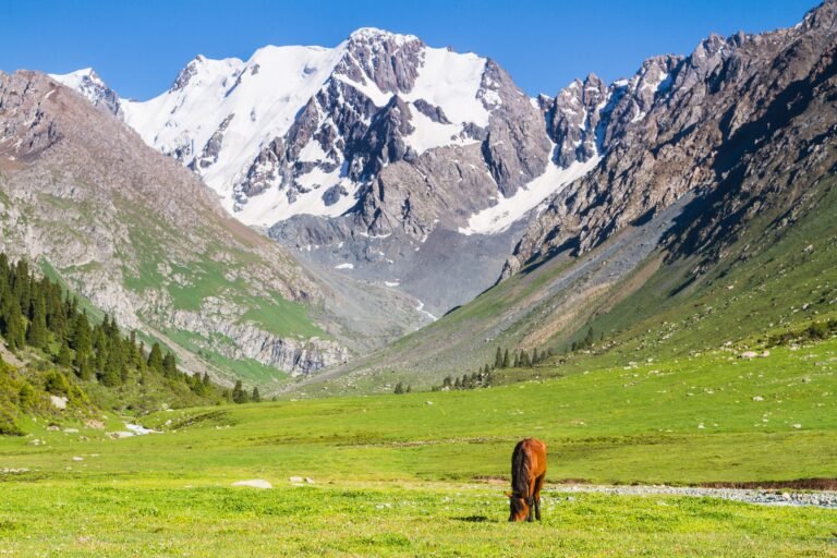 Небесный мост, ущелье Чункурчак: панорамы, водопады, экстрим и отдых в Архаре и в Супаре