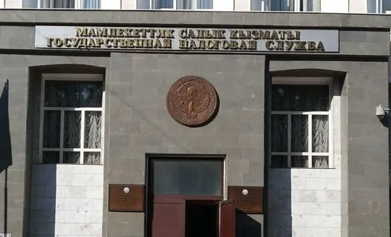 Салык жыйымдары рекорддук 389 млрд сомго жетти. МСК жыл жыйынтыгын чыгарды