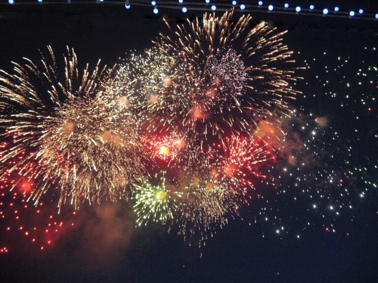 Жаратылыш ресурстары министрлиги кыргызстандыктарды Жаңы жылда салюттан баш тартууга чакырды