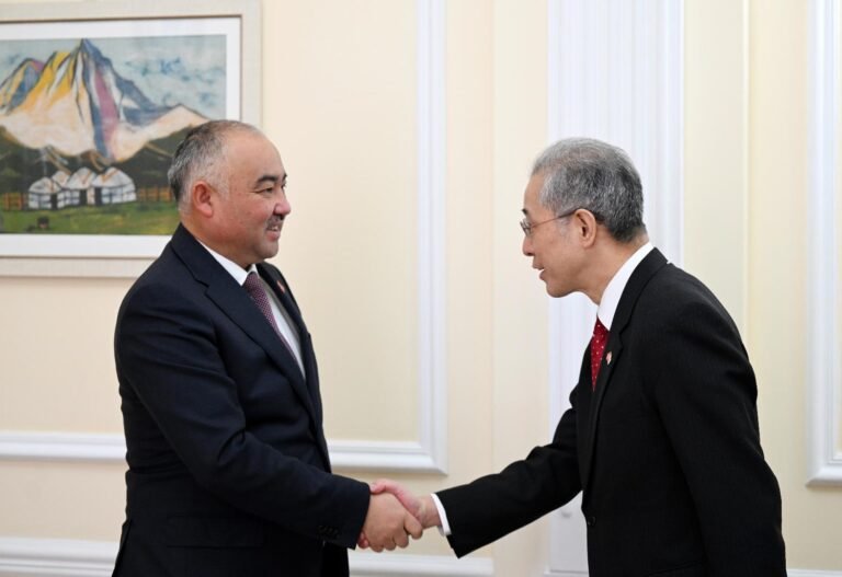 Жогорку Кеңештин Төрагасы жана Жапониянын элчиси инфраструктуралык долбоорлорду кеңейтүү маселесин талкуулашты