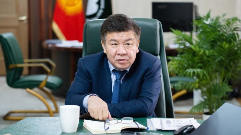 МСК төрагасы: Салык кызматы бизнес менен өнөктөштүк мамилеге өттү