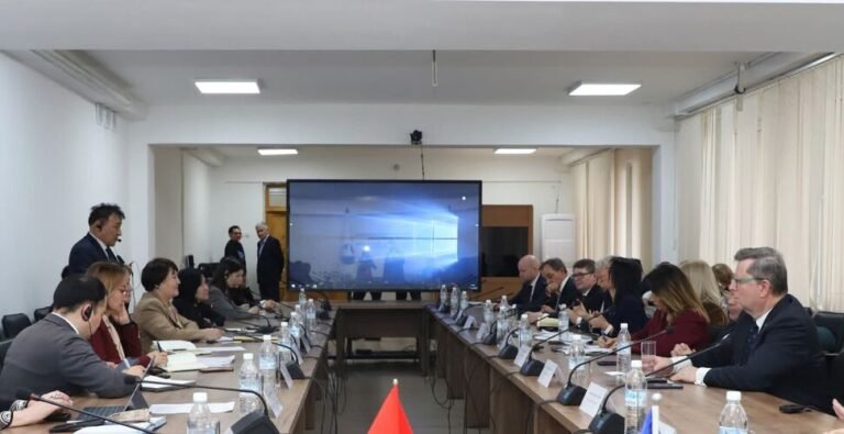 Erasmus+ программасы жана КРда билим берүүнү модернизациялоо: Европарламенттин делегациясы менен жолугушуунун жыйынтыгы