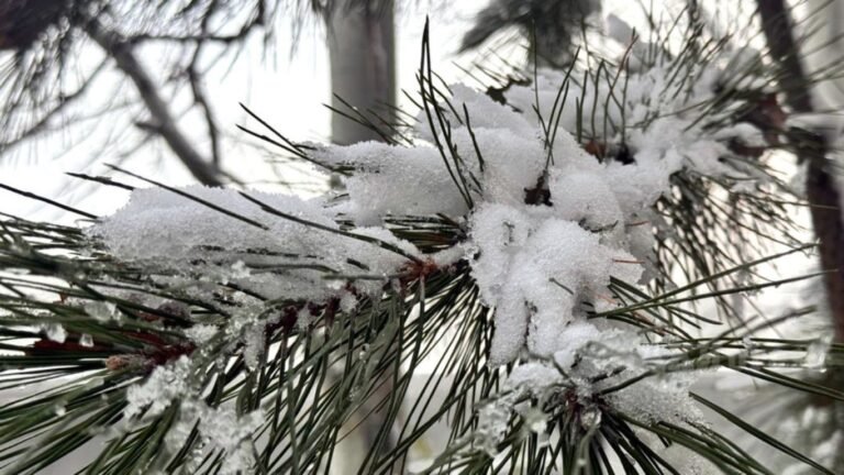 14-февралдын аба ырайы: Жаан, кар жаайт