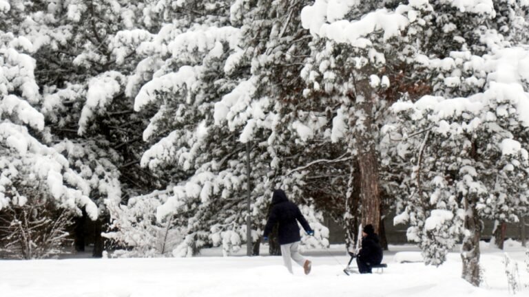 13-февралга карата аба ырайы