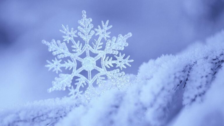 12-февралга карата аба ырайы