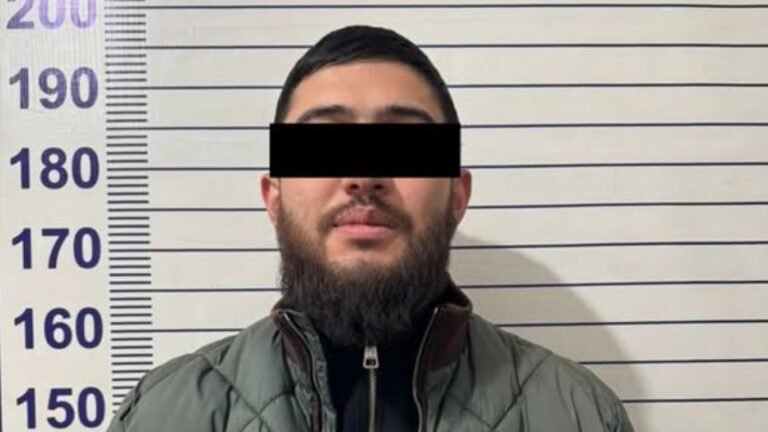 Чүйдө жасалма айдоочулук күбөлүк колдонгон жаран кармалды