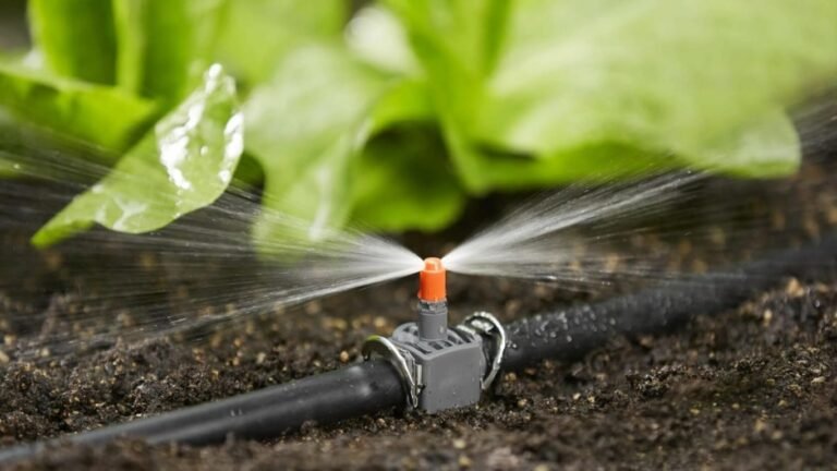 Ысык-Көл облусу толугу менен тамчылатып, жамгырлатып сугаруу ыкмасына өткөрүлөт