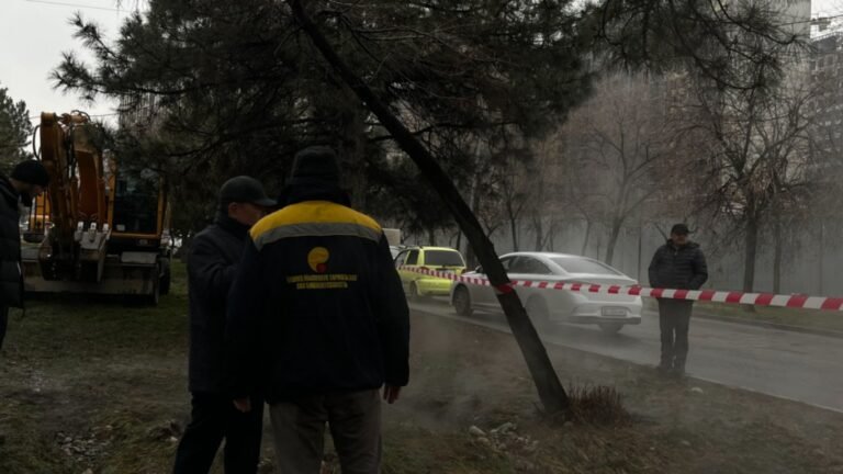 Бишкектин 7-апрель көчөсүндө жылуулук түтүгү жарылды. Мэрия оңдоо иши башталганын билдирди