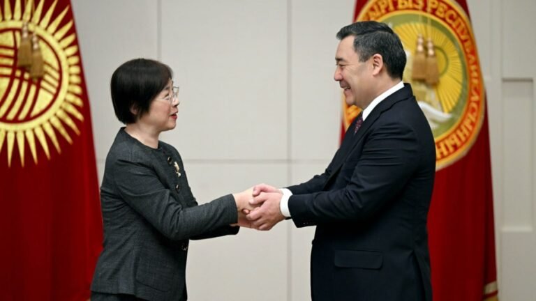 Азия инфратүзүмдүк инвестициялар банкы Кыргызстандагы мамлекеттик долбоорлорду колдоого даяр