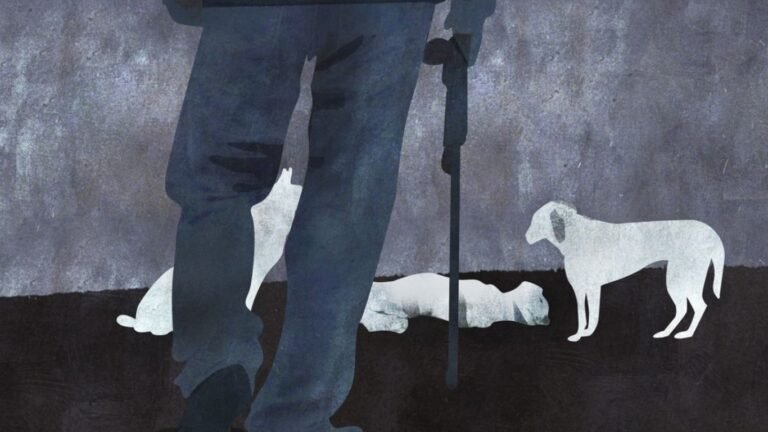 Новопавловкада жеке үйдүн короосундагы иттерди атып кетишкен. Бул боюнча милиция түшүндүрмө берди