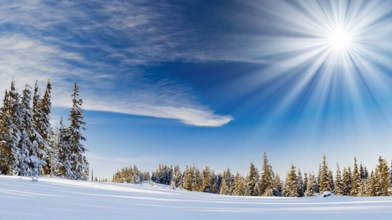 16-февраль: Күн ачык болот