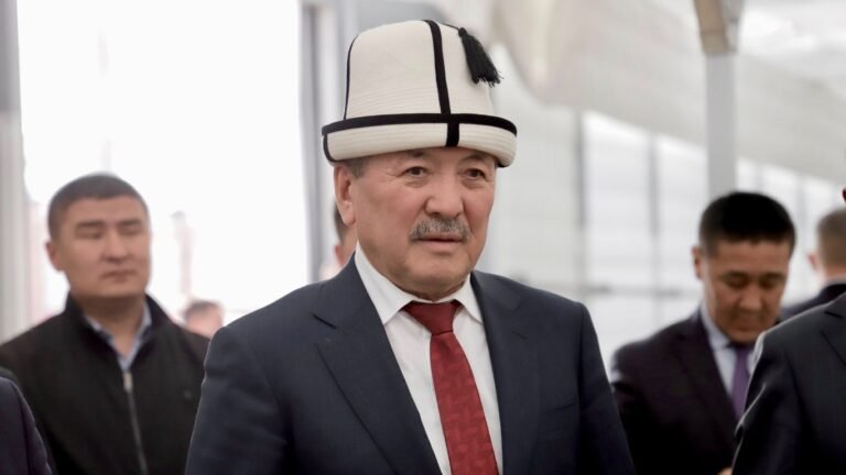 Өкмөт башчы ишкерлерди негизсиз текшерүүнү токтотууну талап кылды