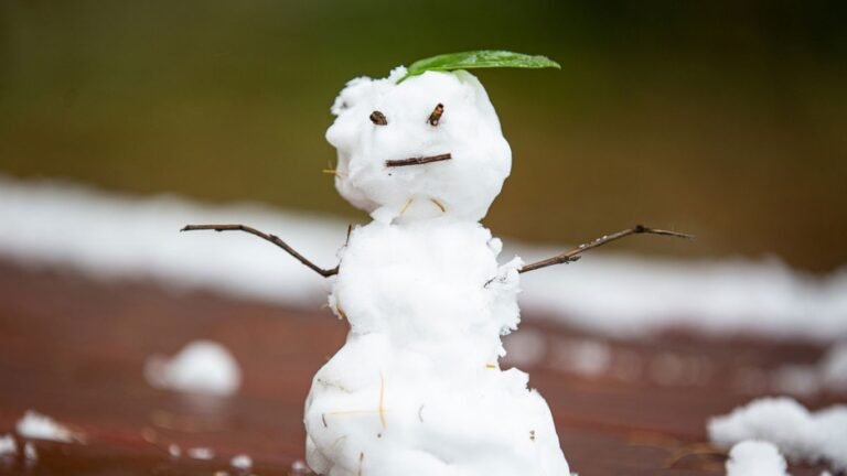 24-февралга карата аба ырайы