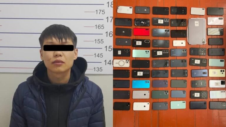 Бишкекте автобуста телефон уурдоого шектелген жаран кармалды