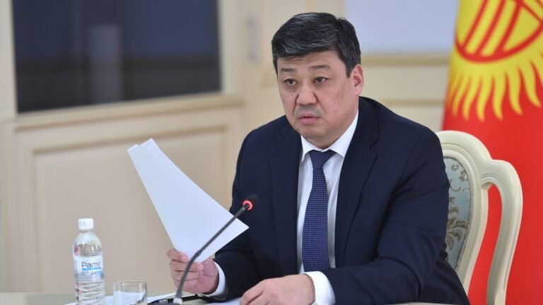 Бакыт Төрөбаев айыл чарба министри кызматынан бошотулду