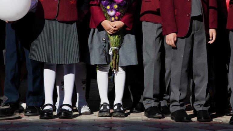 Мектеп формасы классикалык стилде болушу керек. Министрлик парламентте айтылган сунуштарга жооп берди