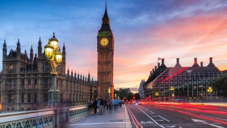 Жээнбек Кулубаев Британиянын ханзаадасы менен кыргыз-британ кызматташтыгын талкуулады