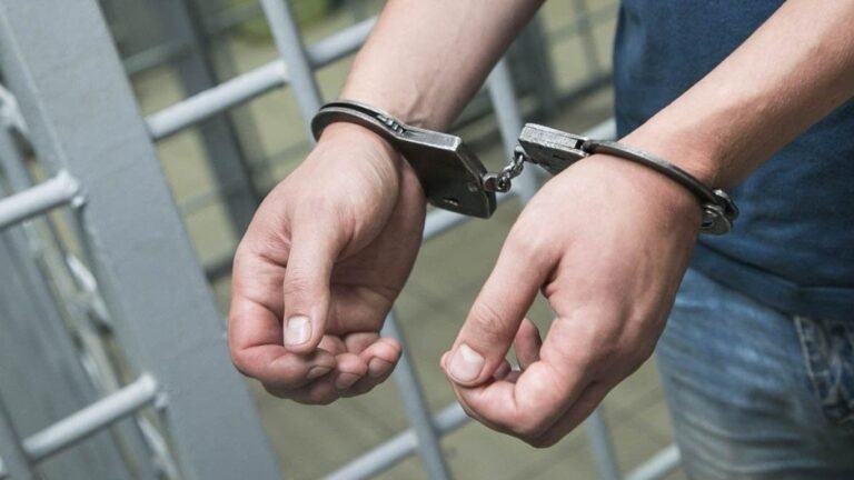 АКШда дагы бир кыргызстандык жаран кармалды