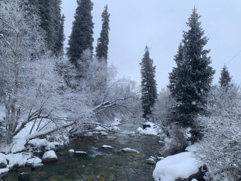 «Ала-Арча» улуттук паркы: кыргыз Йеллоустону тууралуу эмнелерди билүү керек