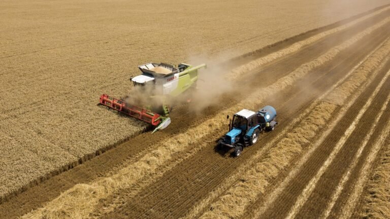 Кыргызстанда айыл чарбасын каттоо башталды: маалыматтарды чогултуу 10-апрелге чейин уланат