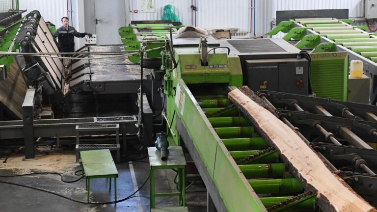 Кыргызстан үчүн ЕАЭБдин өнөр жай долбоорлоруна катышуу шарттары жөнөкөйлөтүлөт